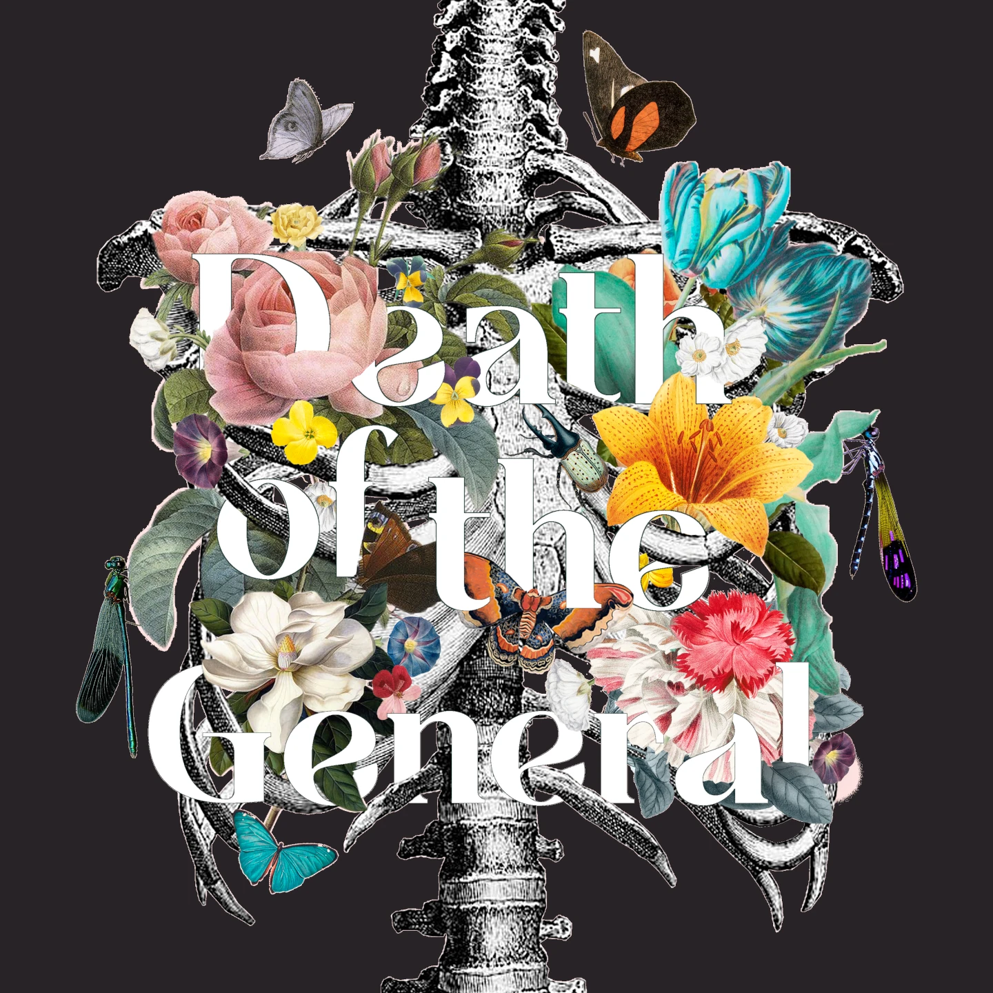 An engraved rib cage filled with colorful flowers, butterflies and insects, bearing the title Death of the General.