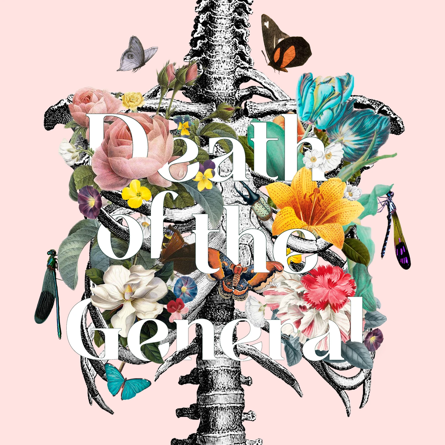 An engraved rib cage filled with colorful flowers, butterflies and insects, bearing the title Death of the General.